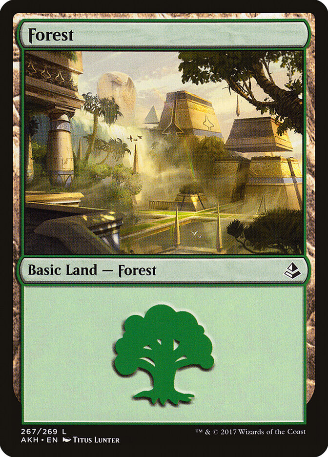 Forest card image