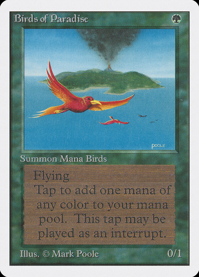 Birds of Paradise card image