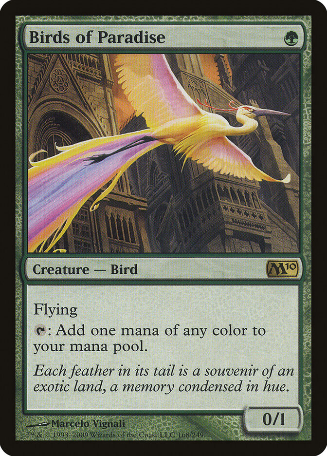 Birds of Paradise card image