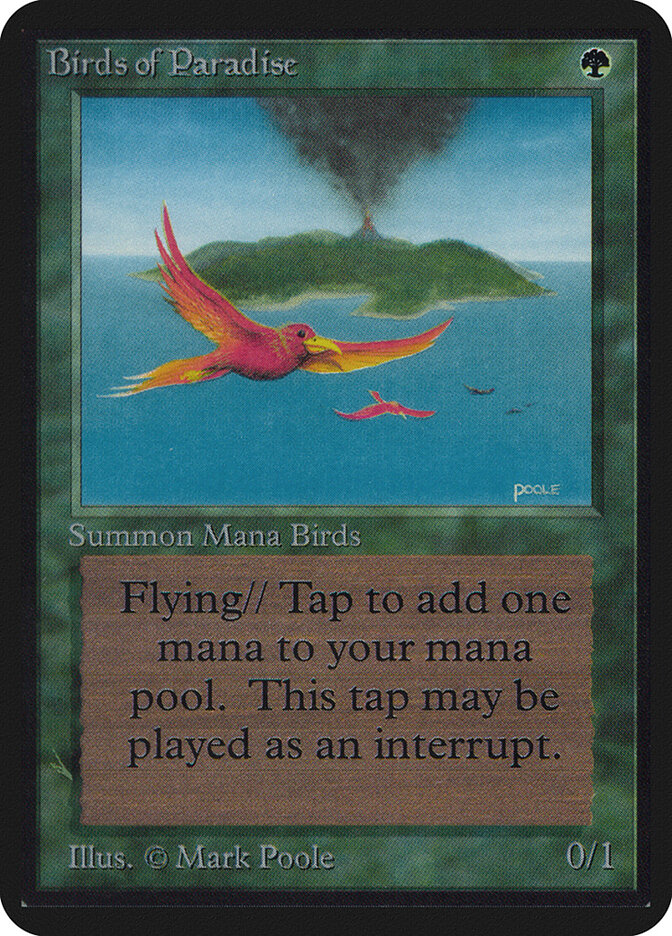 Birds of Paradise card image