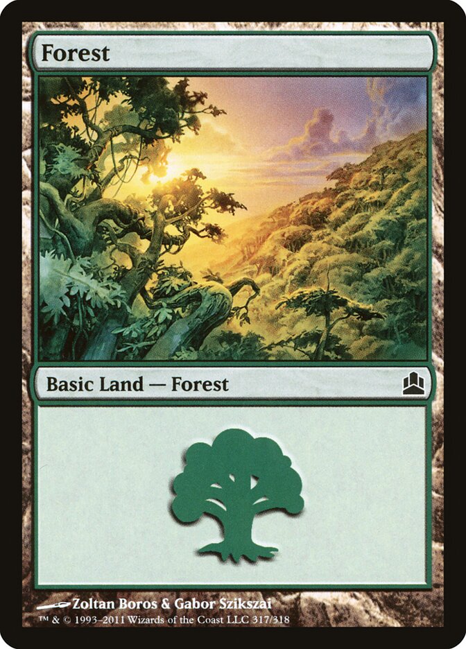 Forest card image