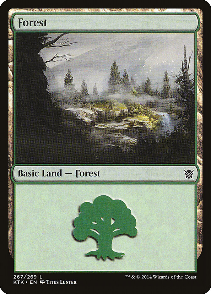 Forest card image