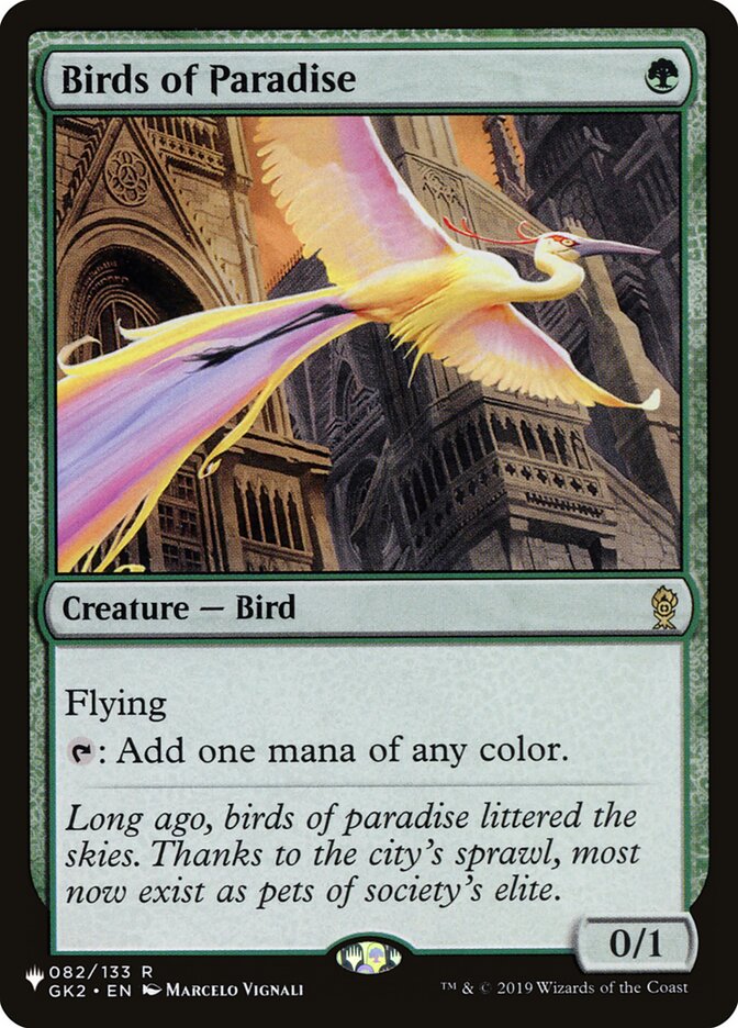 Birds of Paradise card image