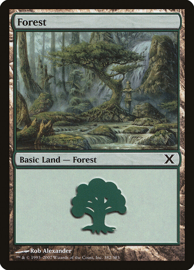 Forest card image