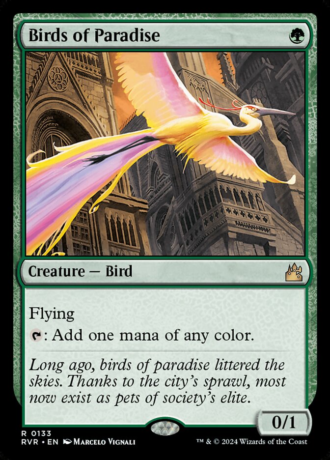 Birds of Paradise card image