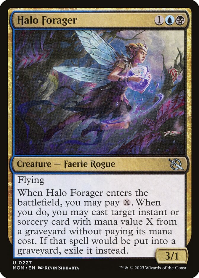 Halo Forager card image