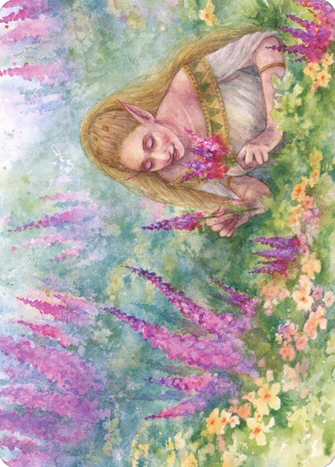 Abundant Harvest // Abundant Harvest card image