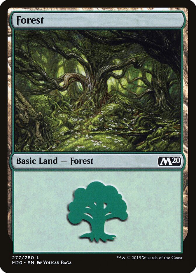 Forest card image