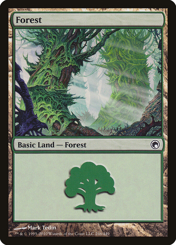 Forest card image