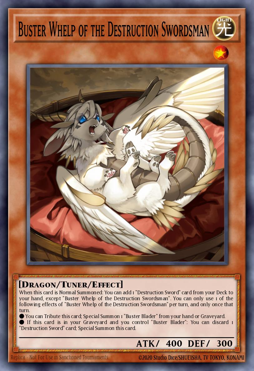 Buster Whelp of the Destruction Swordsman card image