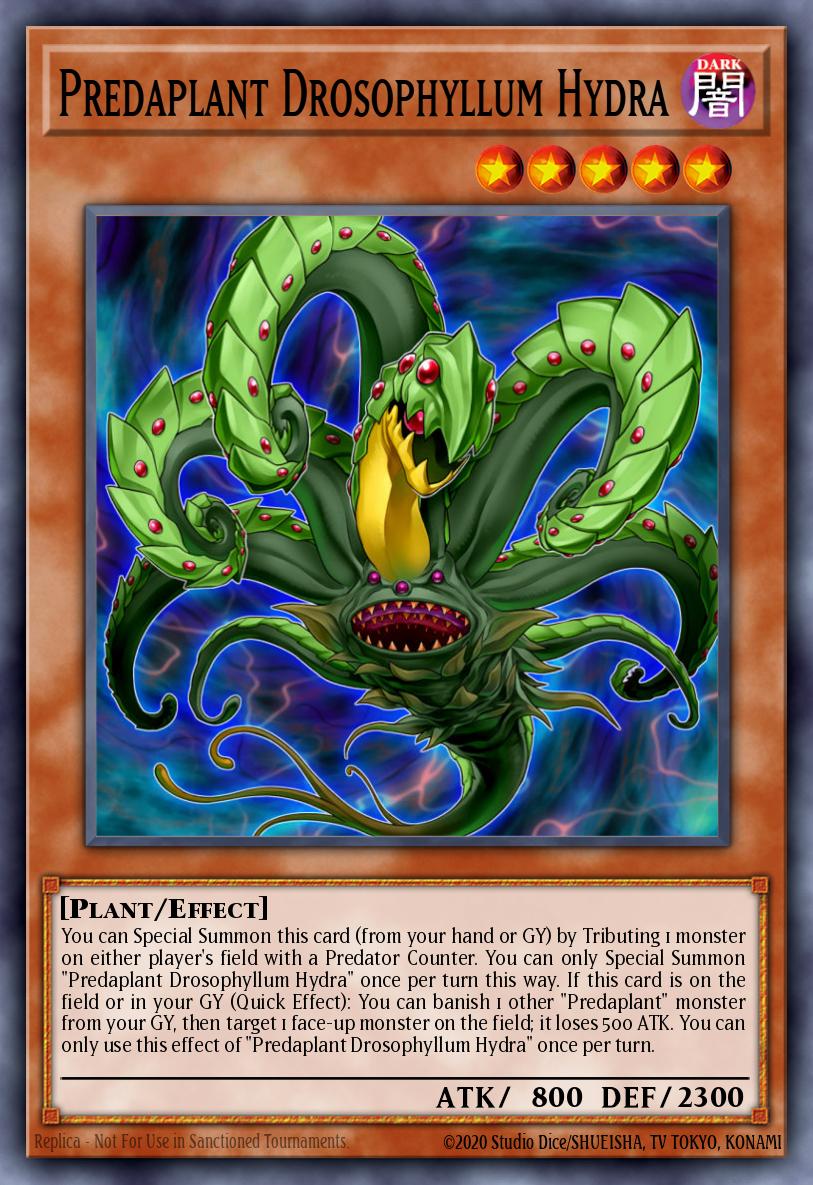 Predaplant Drosophyllum Hydra card image