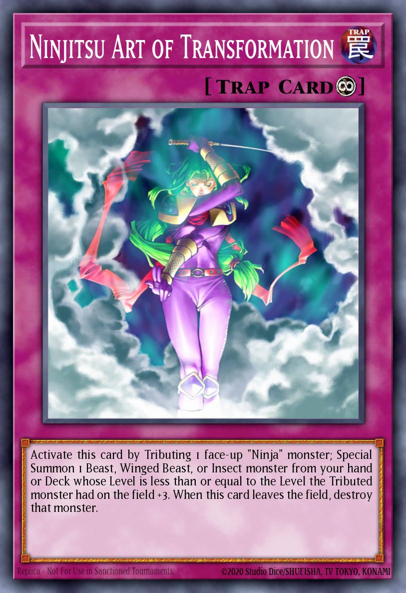 Ninjitsu Art of Transformation card image